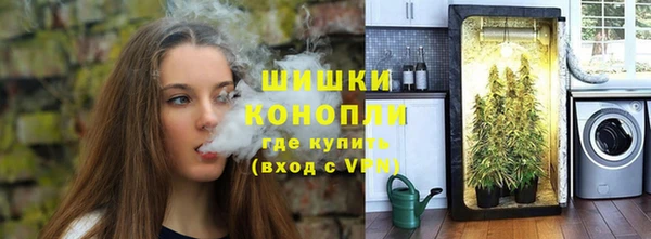 индика Кукмор