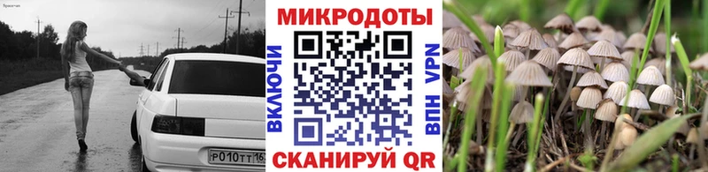 Галлюциногенные грибы Psilocybine cubensis Купить где Ельня